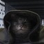 Die Ermac Die