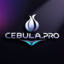 Cebula.Pro | Puskar