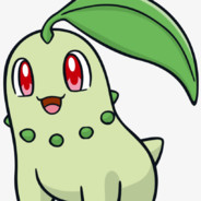 CHIKORITA