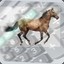 Horse Calculator