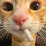 白给少年风华正茂