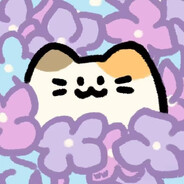 在海边跑步的蓝色狸猫