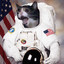 FredTheSadCatInSpace