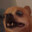 PogDog