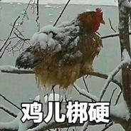哲学一哥