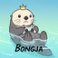 BONGJA
