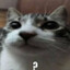 BopoH