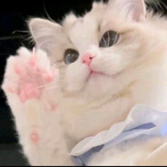 飞来一只小怪兽