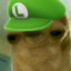 E.P