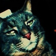 V L A D O S - steam id 76561198081752541