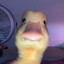 lew