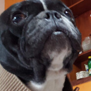 🆃🅰🅵🆈🆁🅾