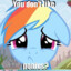 Rainbow Dash