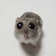 Fluffy