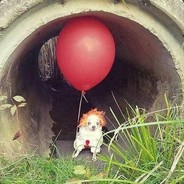 [:ĶĄŖŦØFĄŊ:]™