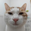 IMwatchingu