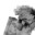 Golem