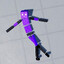 Ragdoll