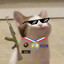 POPCAT