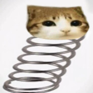 RNT piwkopeek