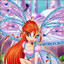 GUBAMI Bloom