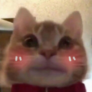 基大精农能干韩红