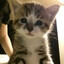 tmsty =)