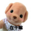 灰头土脸儿