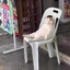Just chillin