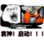 你爱的亮亮