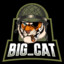 Big_Cat