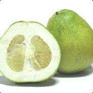 J-Money Pomelo
