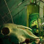 Absinthium