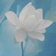 脾气暴躁且冷酷