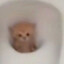 jerry