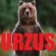 Urzus