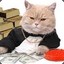 poker cat