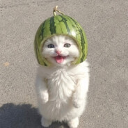 8/8
