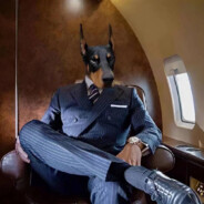 汤姆 /（对开）800+