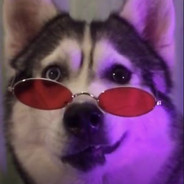 她凭什么后来居上.