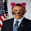 Obama Kitty