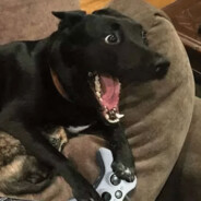 男孩为何硬邦邦