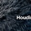 Houdini_16