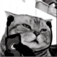 ぴわいふぇいのちち