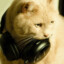 Danya_hype993