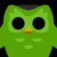 Duolingo Bird