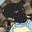 MAXIMUS avatar