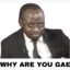 Why are you gae??