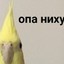k@rt@