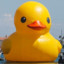 Quacken
